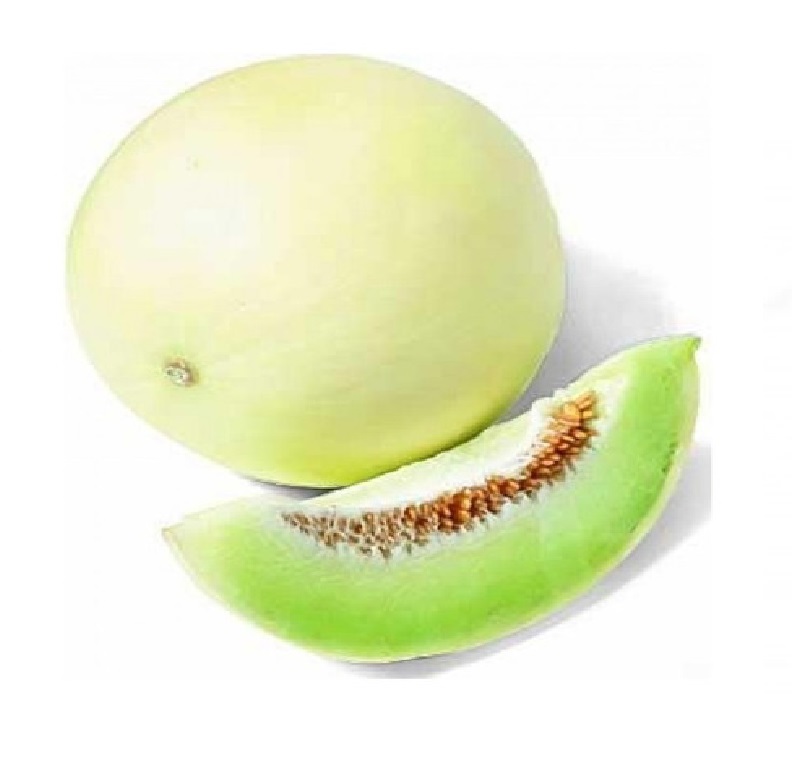Melon Tuna extra unidad (Sin Stock)