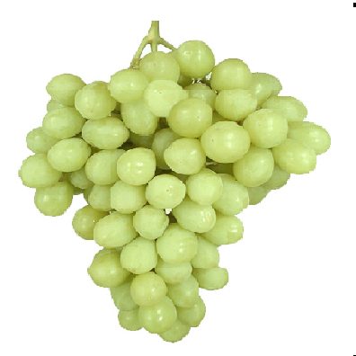 Uvas blancas sin pepa de exportación 1 kilo