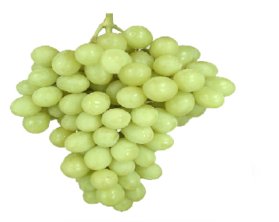 Uvas blancas sin pepa de exportación 1 kilo
